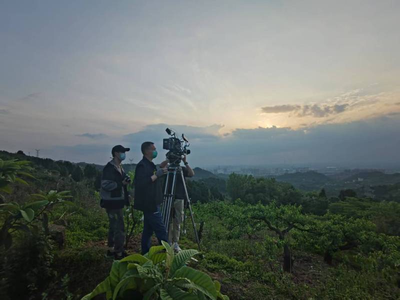 创意破圈！开平市电商产品宣传视频用故事化叙事引爆流量