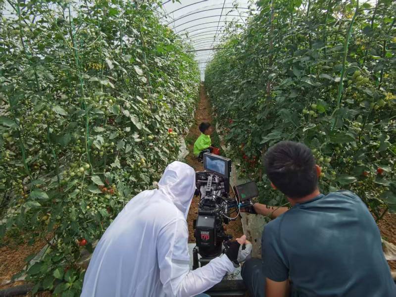 开平市产品宣传视频拍摄公司进阶指南，助力品牌抢占传播高地